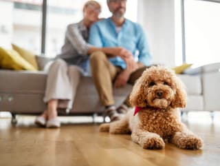 Kúpa šteniatka je vážna