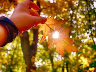 September je nabitý zaujímavými