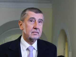 Bývalý český premiér Andrej