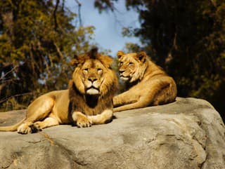 KVÍZ Sexuálny život v