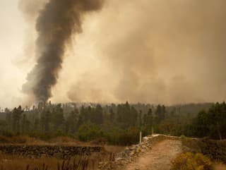 Tenerife trápi lesný požiar: