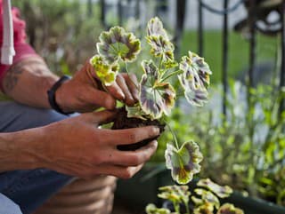 VIDEOTIP Nemusíte každý rok