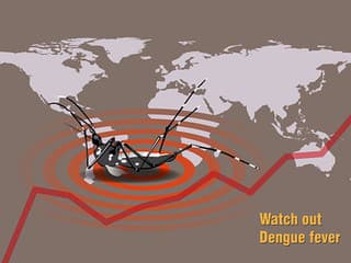 Výskyt horúčky dengue sa