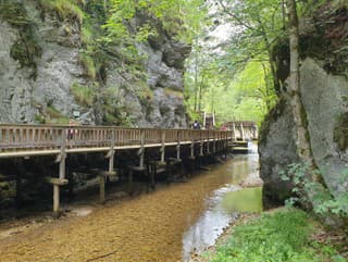 OBRAZOM z Dolného Rakúska: