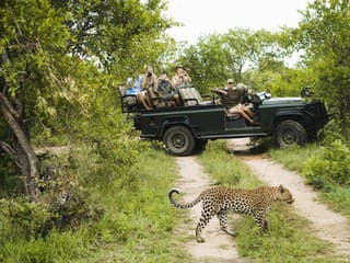 Krugerov národný park -