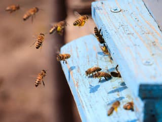 Vedci objavili hororovú osu: