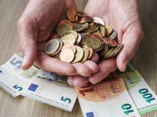 Prilepšite si k platu: