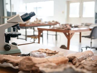 Tajná zabudnutá reč našich