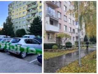 OBROVSKÁ TRAGÉDIA RODINY! Prečo