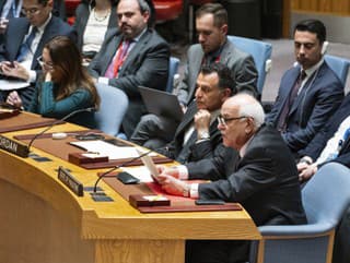 Palestínsky veľvyslanec v OSN Rijád Mansúr sa prihovára členom Bezpečnostnej rady OSN v sídle OSN 