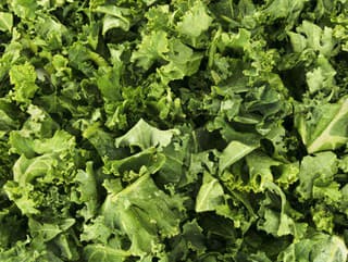 PREKONÁ špenát: Táto SUPERPOTRAVINA