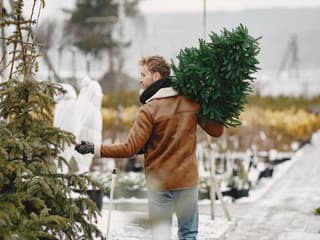 Je lepší živý alebo