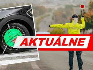 Slovák, DOJNÁ KRAVA!? TÁTO