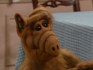 Alf: Aké je skutočné