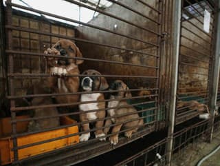 Fantastická správa z Južnej