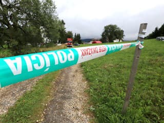 DESIVÝ NÁLEZ V lese