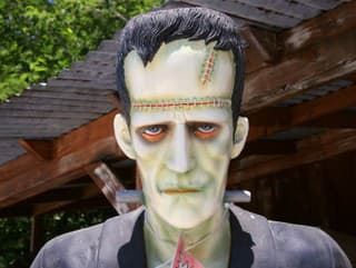 Najslávnejšia literárna prvotina: Zrodil