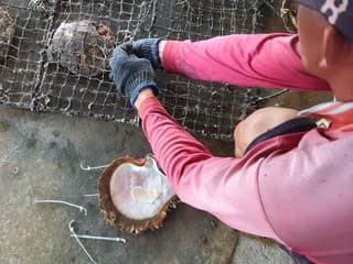 Ako sa rodí poklad: