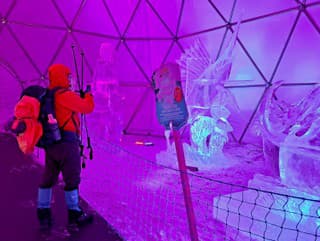 Diela v Galérii ľadových