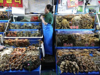 Bizarná lahôdka: V Kórei