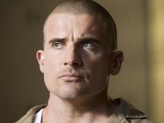 Dominic Purcell
