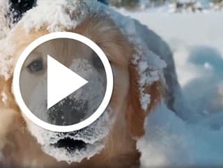 Podržte sa: Takéto videá