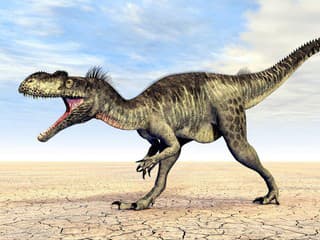 Pred 200 rokmi začala