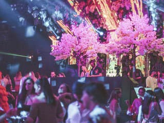 Horúčka sobotného popoludnia: V