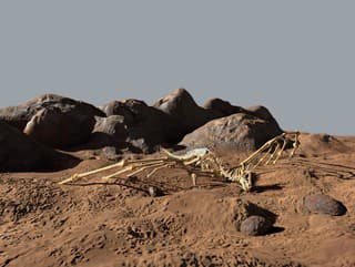 Potvrdí sa existencia drakov?