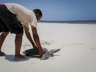 Lahôdka, ktorá zabíja: Po