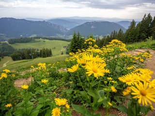 Krivánska Malá Fatra je