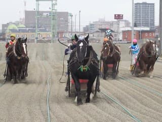 Pomalé, ale napínavé: Preteky