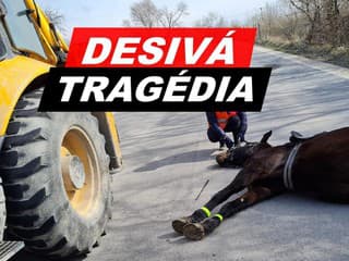 FOTO Desivá ZRÁŽKA skončila