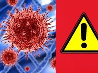 ŠOKUJÚCE zistenie o obľúbenej