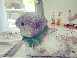 VIDEOTIP: Pripravte si s