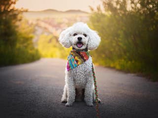 Dorota vyrába roztomilé doplnky