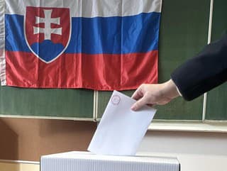 Prezidentské voľby: Českí politici