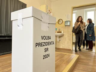 Voľby 2024: Českí politológovia