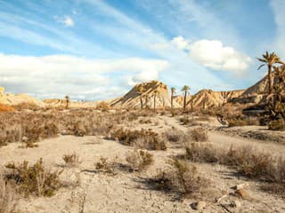 Závan exotiky na starom