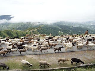 Taliansky ostrov sa chce