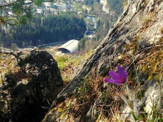 Našimi očami: Pri návšteve