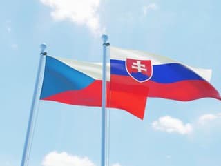 Slovensko a Česko by mali uzavrieť novú zmluvu o štátnej hranici