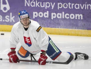 Slovenský hokejový reprezentant Martin