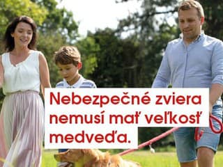 Čo odpudzuje kliešte? Na