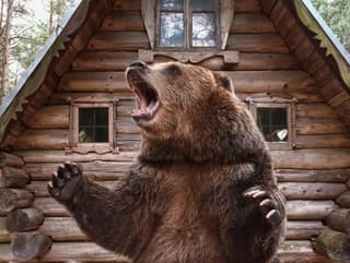 Útoky medveďov na človeka