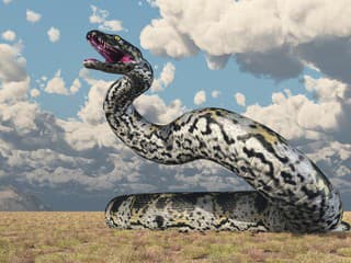 Indické močiare kedysi obýval gigantický had: Vážil asi tonu!