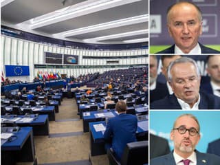 Veľký PREHĽAD práce slovenských europoslancov: Kto bol najaktívnejší? Niektorí sa v Bruseli veľmi nepretrhli