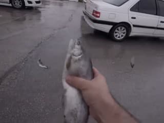 Ľudia neverili vlastným očiam: Z oblohy padali živé ryby, šialené VIDEO! Príčina bizarného javu vás dostane