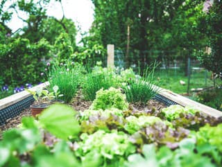 Lunárny kalendár na máj: