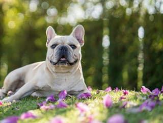 Sezóna kliešťov je v